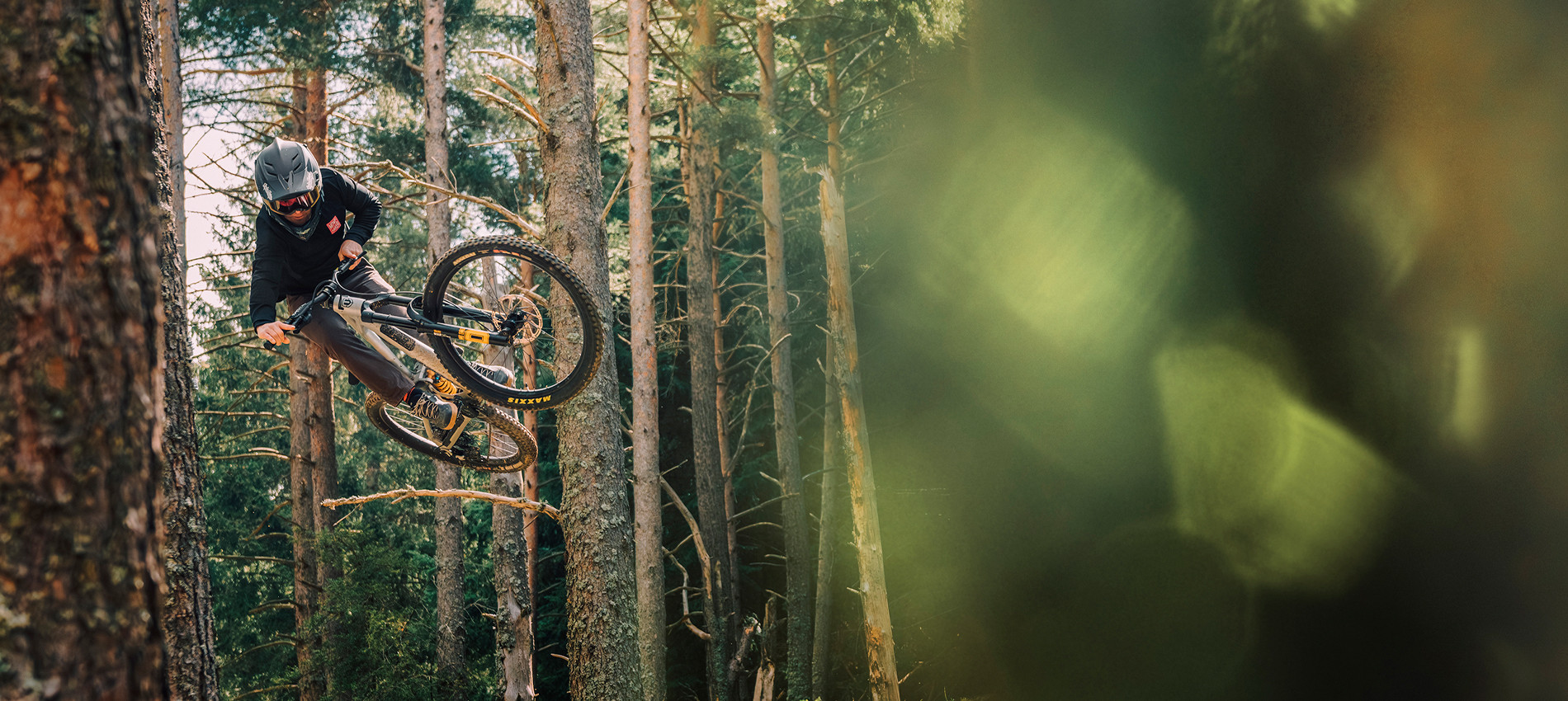 Get into your Shred State with ANARK.
