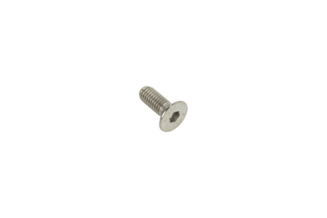 SCREW BOLT M6XP1.0 KAISER-PRAYER-DUNE-FACTOR 2010