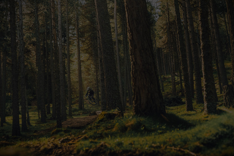 Get into your Shred State with ANARK.