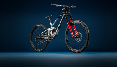 SUMMUM: La máquina definitiva para el Downhill