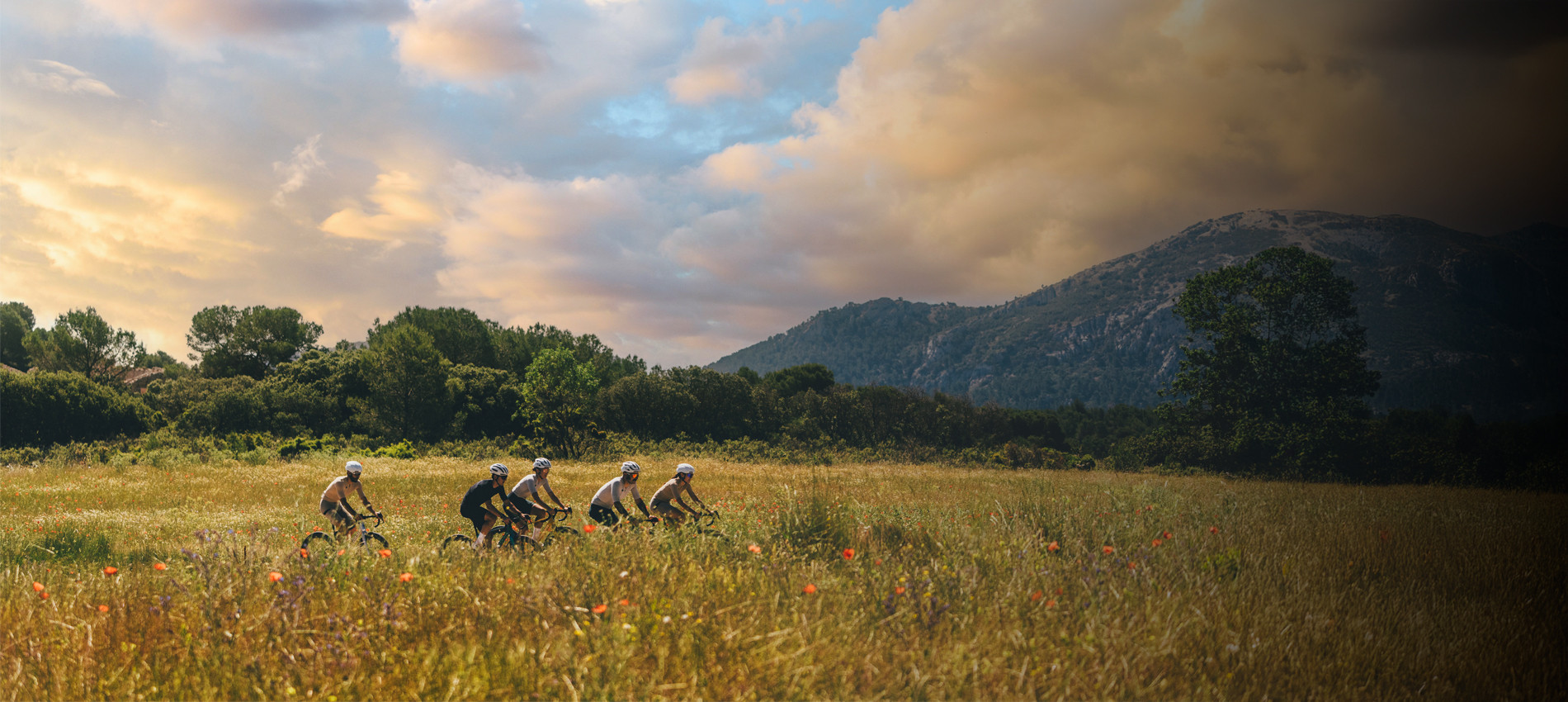 WE COME FROM THE MOUNTAINS. 